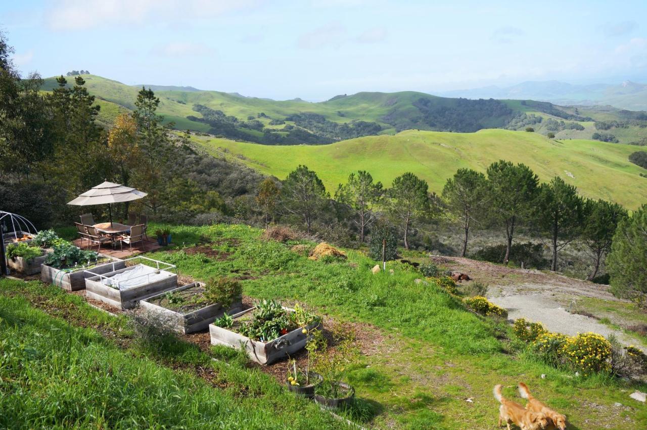 Mountain Top Getaway, Best View In Slo! - Whole House San Luis Obispo Exteriér fotografie