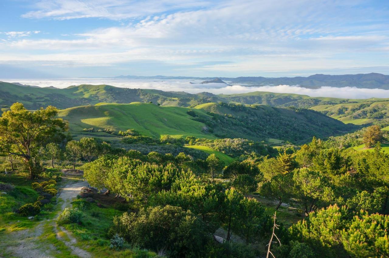 Mountain Top Getaway, Best View In Slo! - Whole House San Luis Obispo Exteriér fotografie